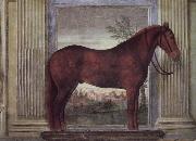 Drawing-rooms dei Cavalli Giulio Romano